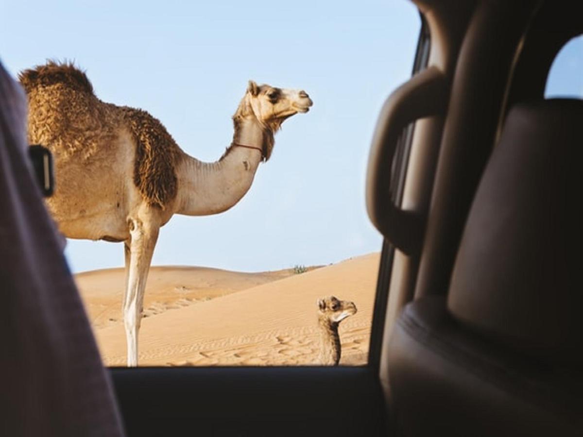 M'Hamid Desert Camp Tours ภายนอก รูปภาพ