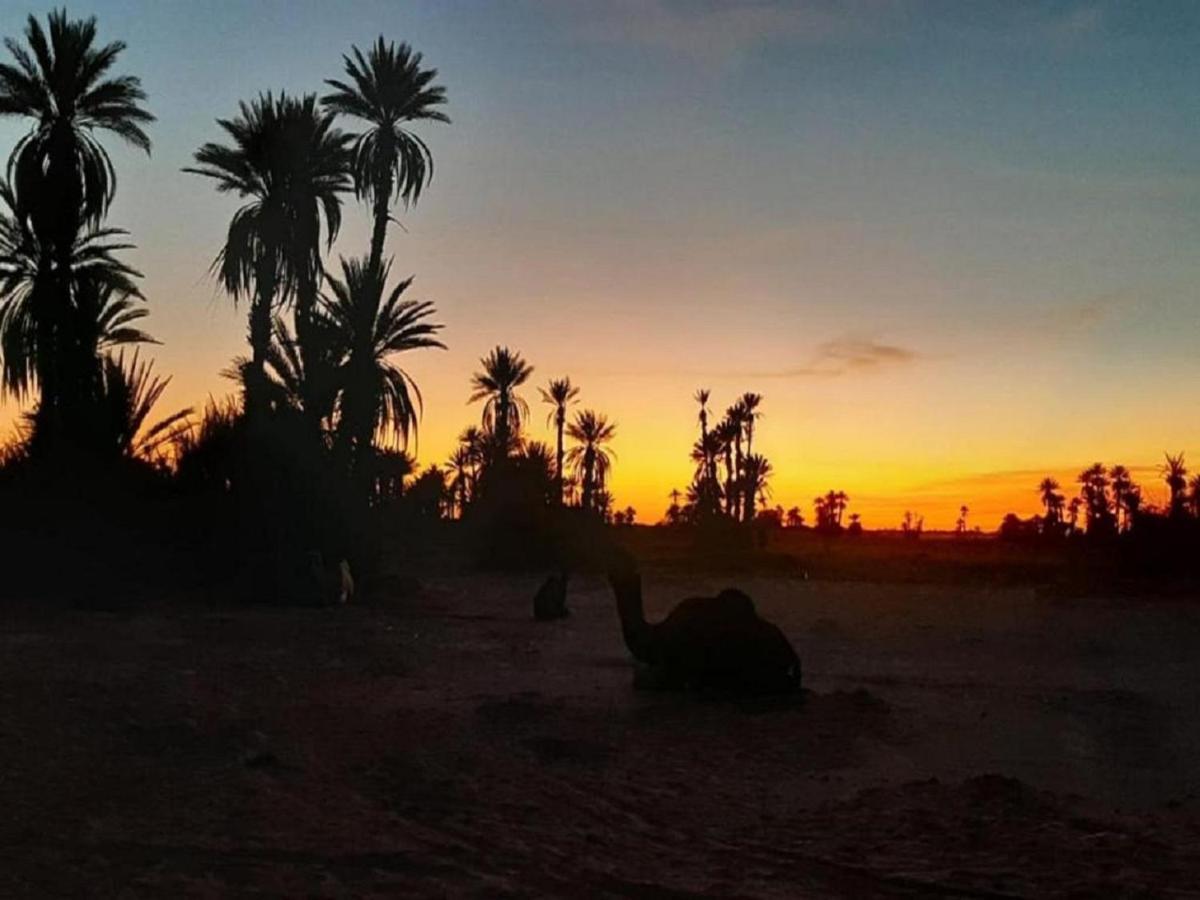 M'Hamid Desert Camp Tours ภายนอก รูปภาพ